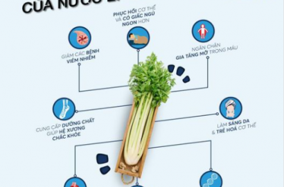 8 công dụng bất ngờ của nước ép cần tây